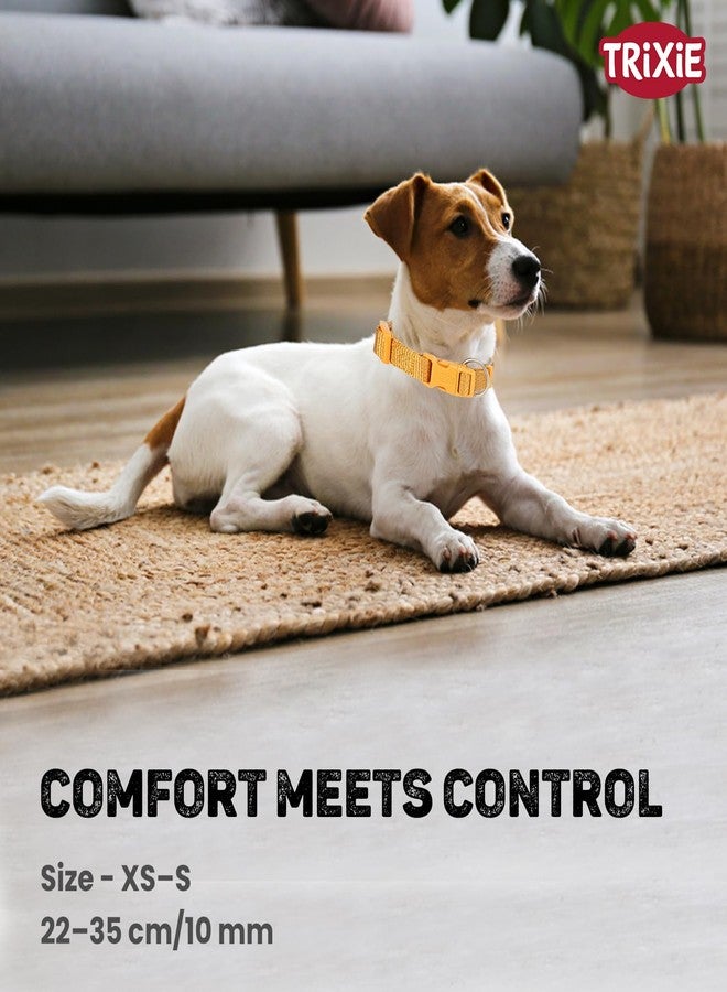 تريكسي طوق تريكسي المميز - طوق كلاب من النايلون قابل للتعديل ومتين، مريح، مزود بإبزيم قوي، خفيف الوزن وأنيق، مناسب للسلالات الصغيرة والجراء بمقاس XS-S (كاري) - Image 5